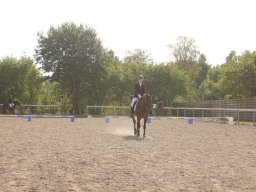 img_7333_web